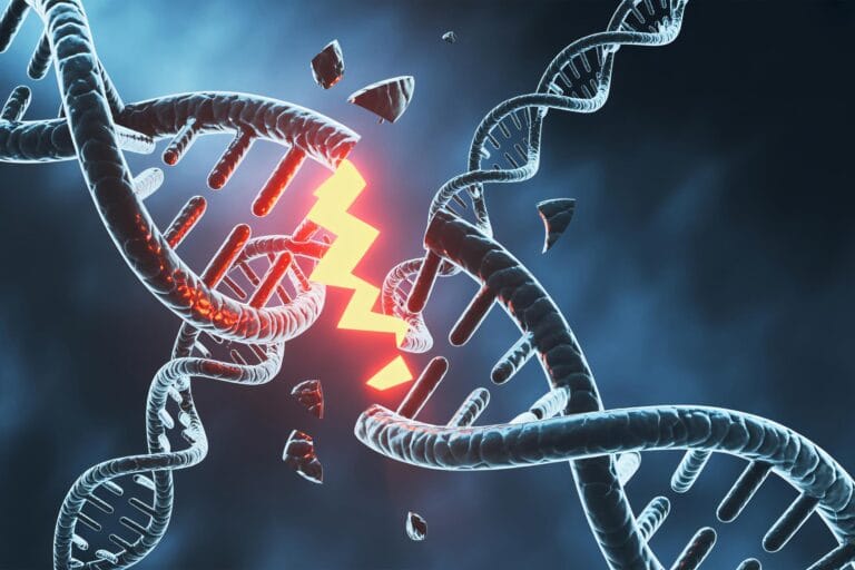 Pesquisadores japoneses desenvolvem nova técnica de edição de DNA