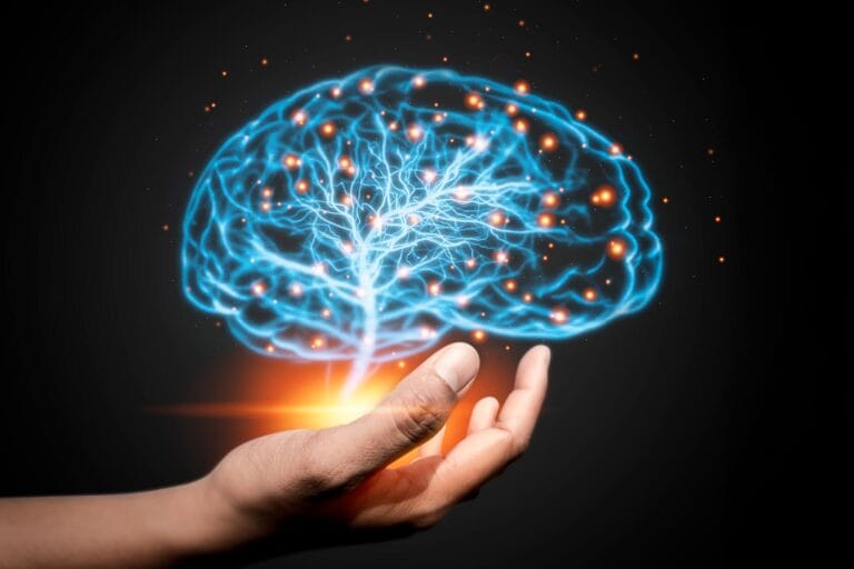 Estudo revela que saúde cerebral pode melhorar em qualquer idade