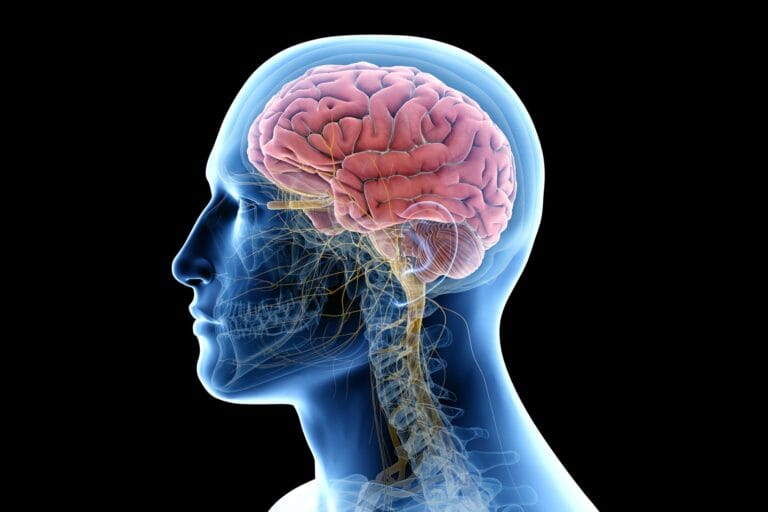 Estudo revela semelhanças entre Freud e neurociência moderna