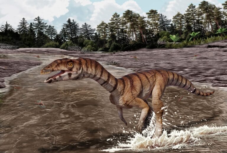 Novo crocodilo primitivo andava em duas pernas e tinha bico