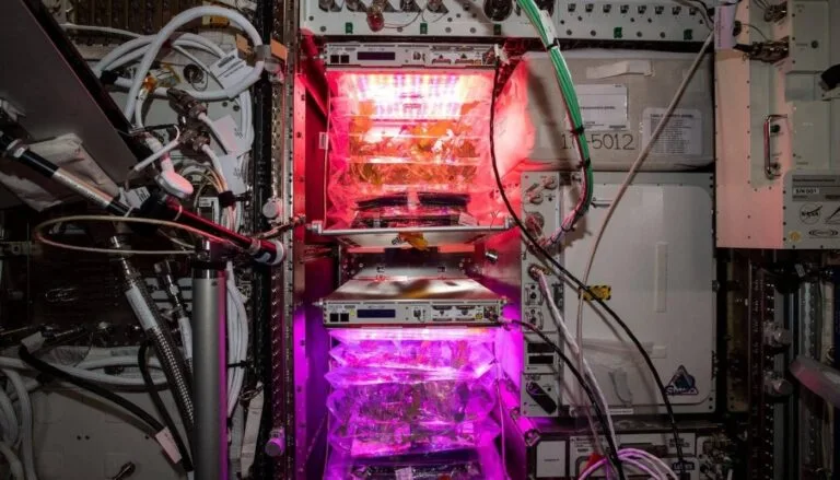 Astronautas poderão produzir medicamentos com plantas no espaço