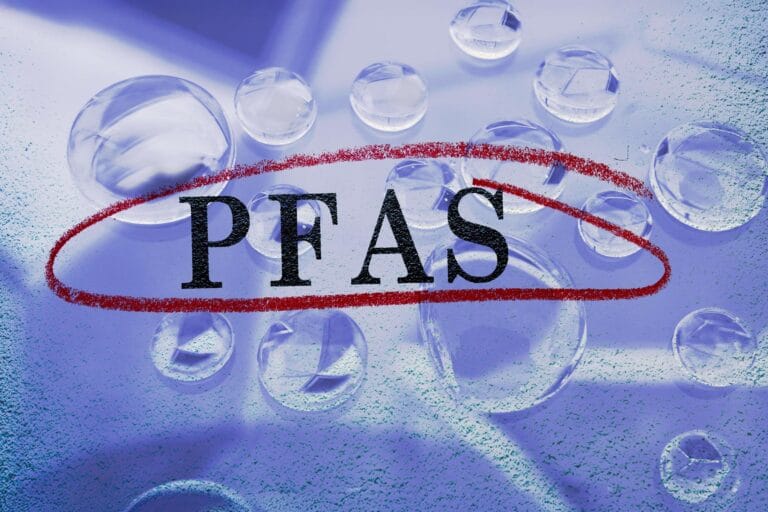 Estudo revela como PFDA causa defeitos congênitos