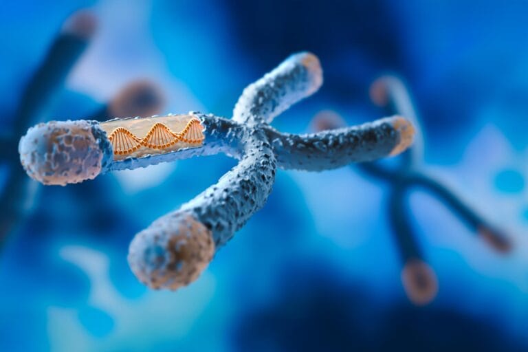 Estudo revela impacto de mutação em DNA não codificante