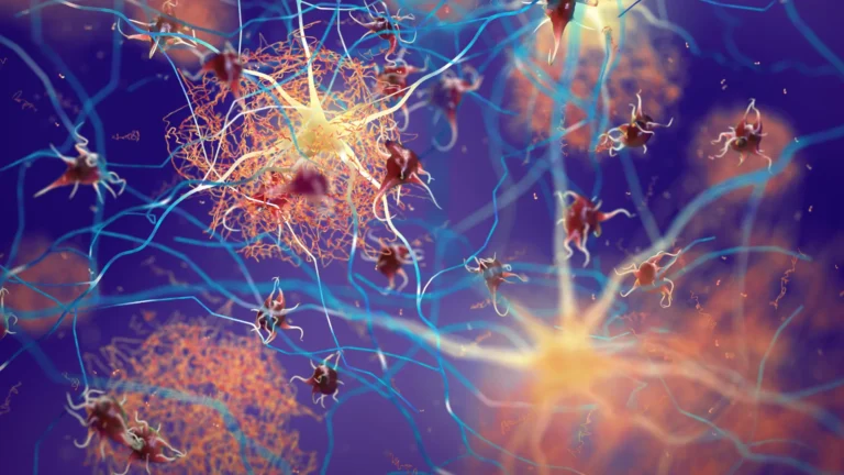 Tubulina pode prevenir acúmulos tóxicos no cérebro relacionados ao Alzheimer