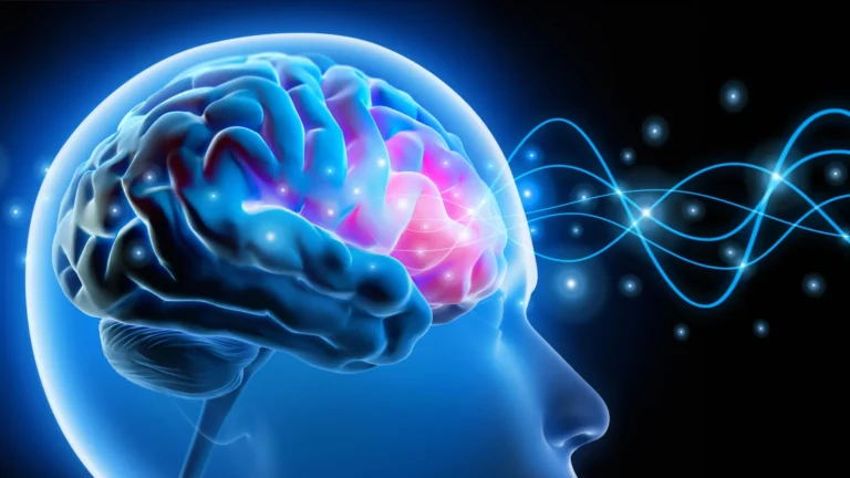 Cientistas reverteram ansiedade ao corrigir circuito cerebral