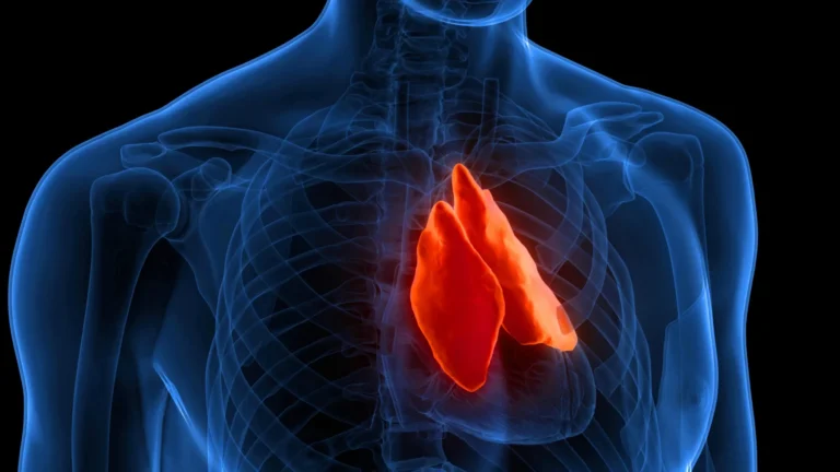 Thymus pode prever longevidade e sucesso em tratamentos de câncer