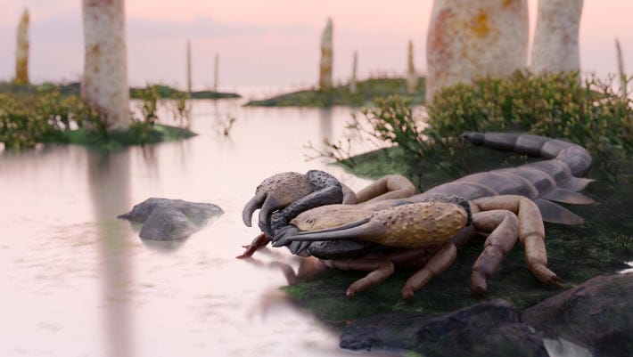 Praearcturus gigas é o maior escorpião do período Devoniano