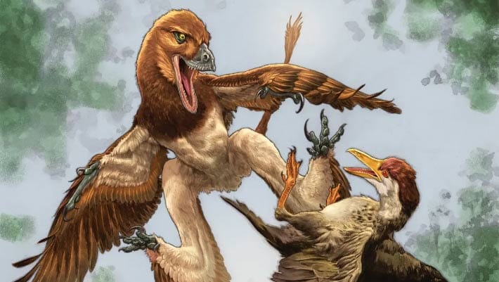 Novo dinossauro microraptorinae é descoberto na China