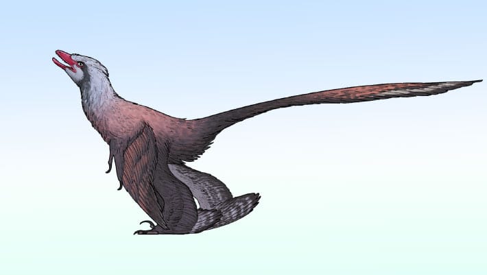 Novo dinossauro com penas é identificado na China