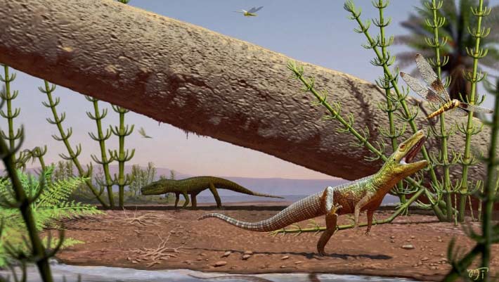 Paleontólogos identificam nova espécie de arcosauriforme no Brasil