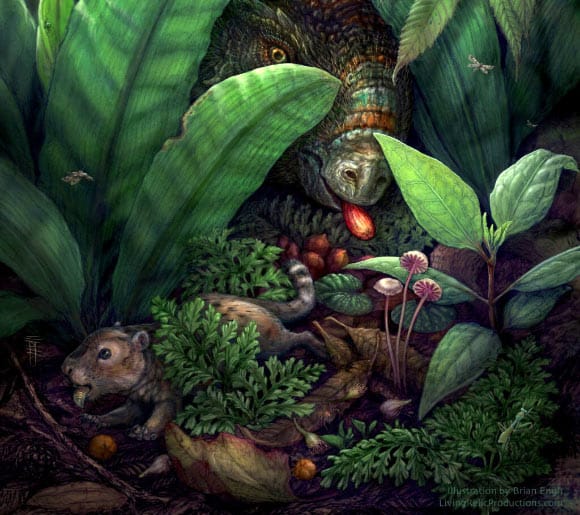 Estudo revela florestas de plantas com flores antes dos dinossauros