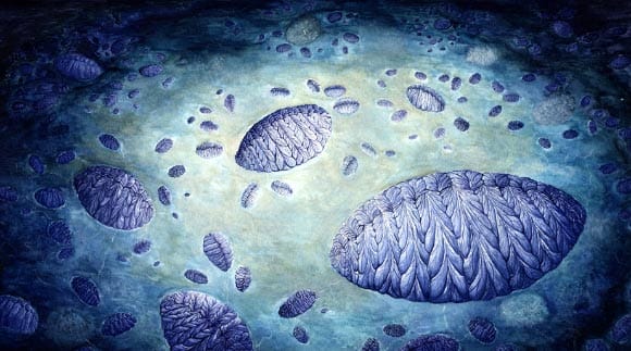 Estudo revela que animais primitivos evoluíram lentamente