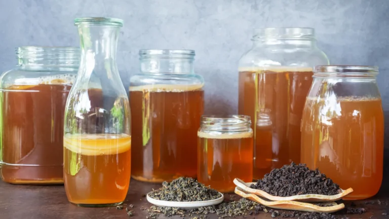 Kombucha: tipo de chá altera sabor e propriedades biológicas
