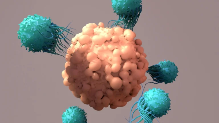 Proteína NFIL3 limita eficácia da terapia CAR T contra câncer
