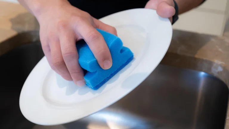 Estudo revela que esponjas de cozinha liberam microplásticos