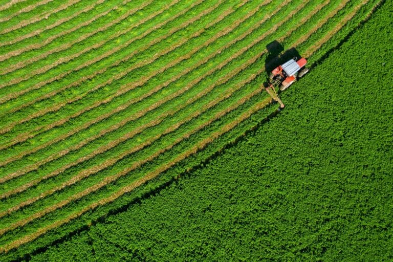 Mudanças na dieta podem reduzir produção agrícola em $630 bilhões