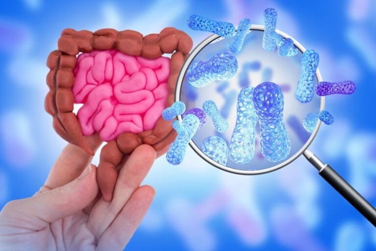 Pesquisadores usam bactérias intestinais contra câncer pancreático