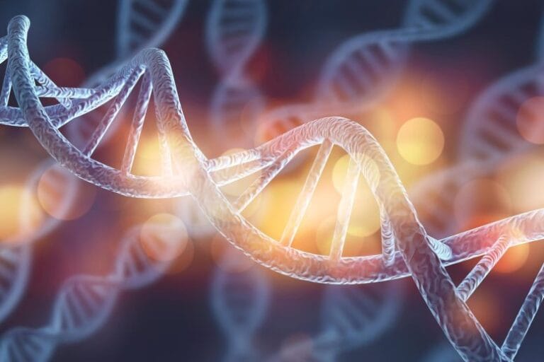 Cientistas mapeiam início da replicação do DNA em células vivas