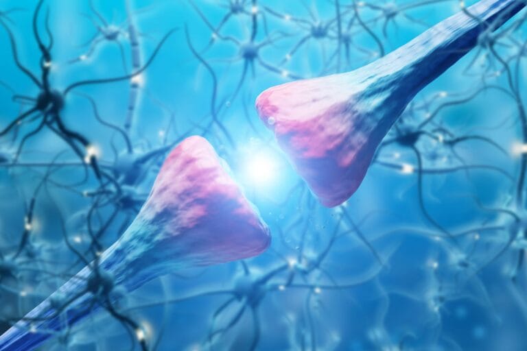 Estudo revela poder computacional de neurônios humanos