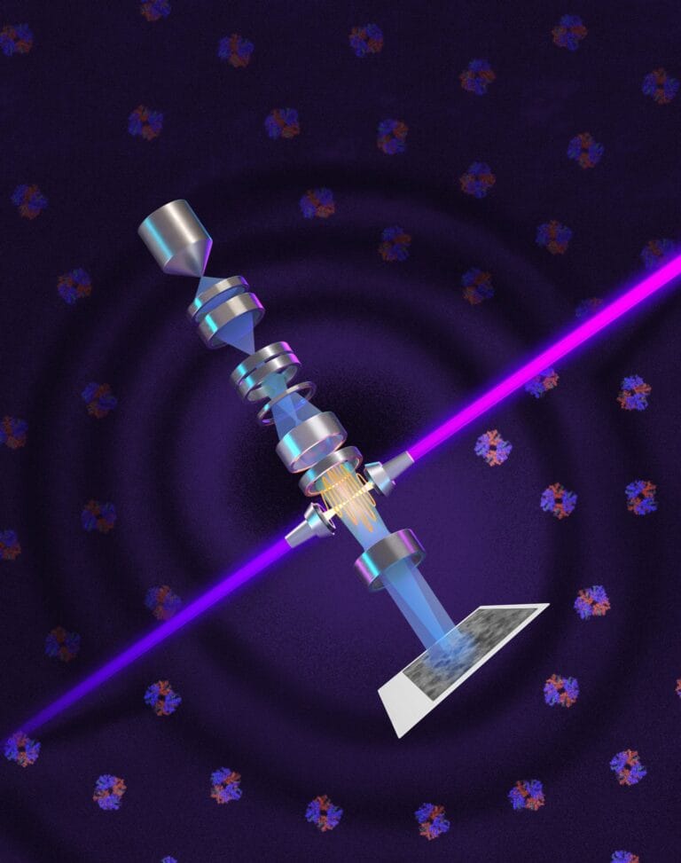UC Berkeley desenvolve laser para microscopia de proteínas