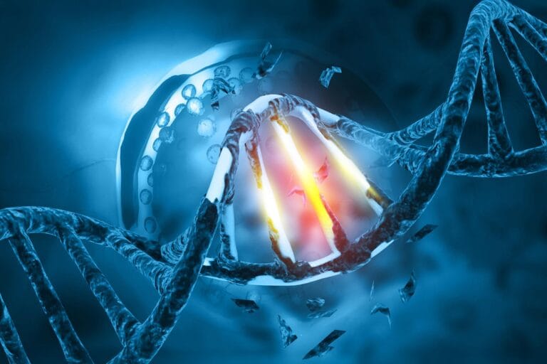 Cientistas observam gene móvel entre espécies de microrganismos