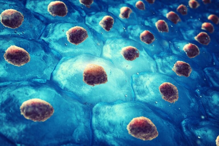Pesquisa reverte diabetes tipo 1 em camundongos com terapia celular