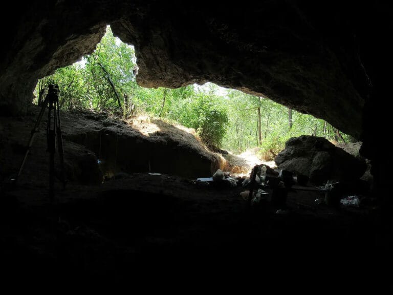 Estudo revela história genética dos Neandertais na Europa