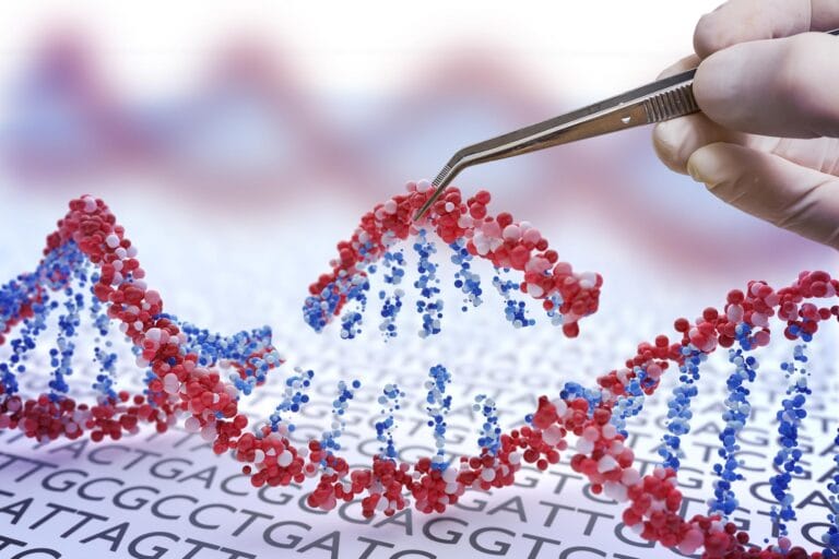 Novo método CRISPR controla produção de RNA ribossômico
