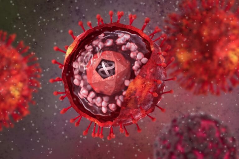 Estudo relaciona infecção por herpesvírus e Alzheimer