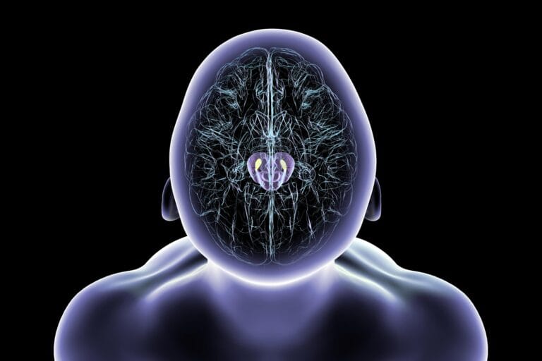 Pesquisadores usam nanopartículas magnéticas em modelo de Parkinson