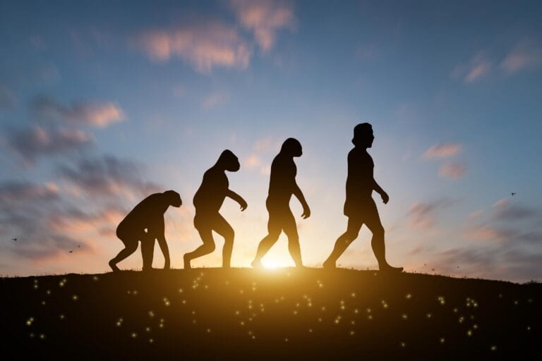 Estudo revela salto evolutivo no tamanho do corpo humano