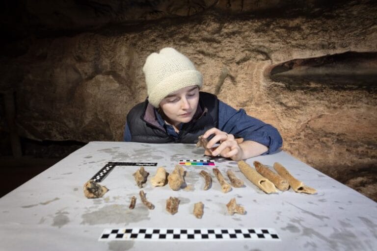 Estudo revela como fósseis se preservam em cavernas submersas