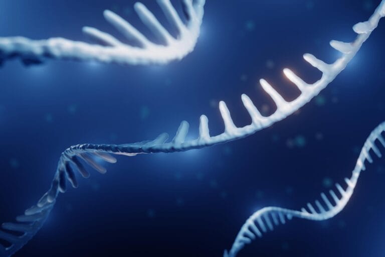 Universidade da Virgínia identifica RNA quimérico em mulheres