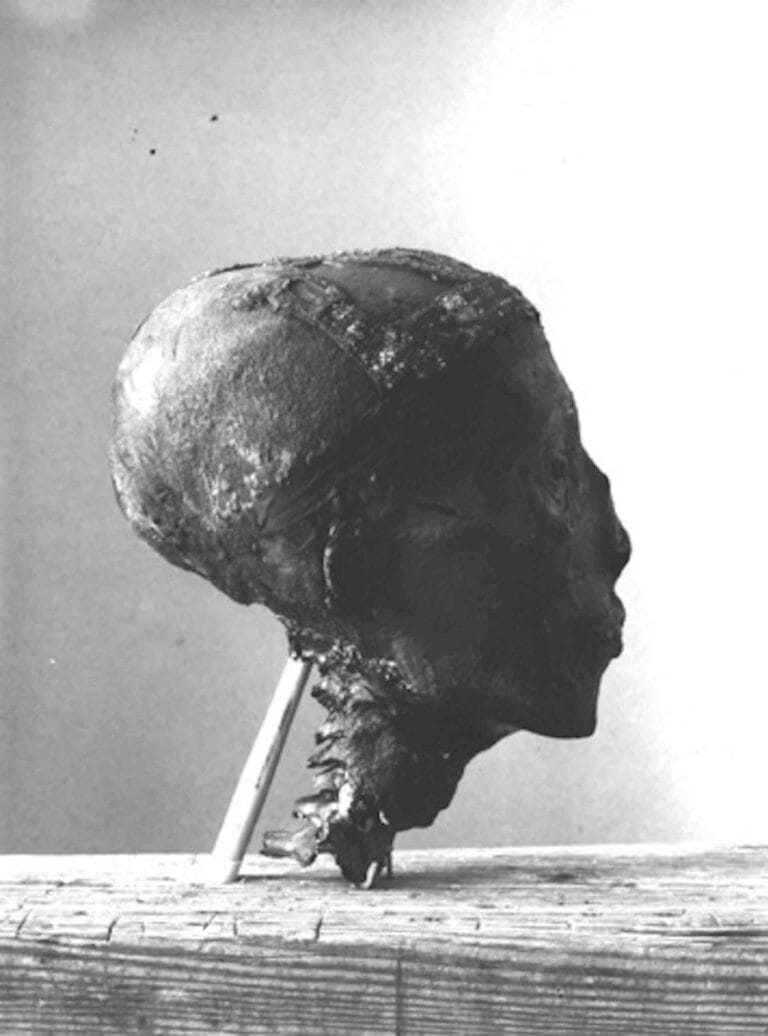 Tutankhamun foi decapitado e corpo foi reconstituído