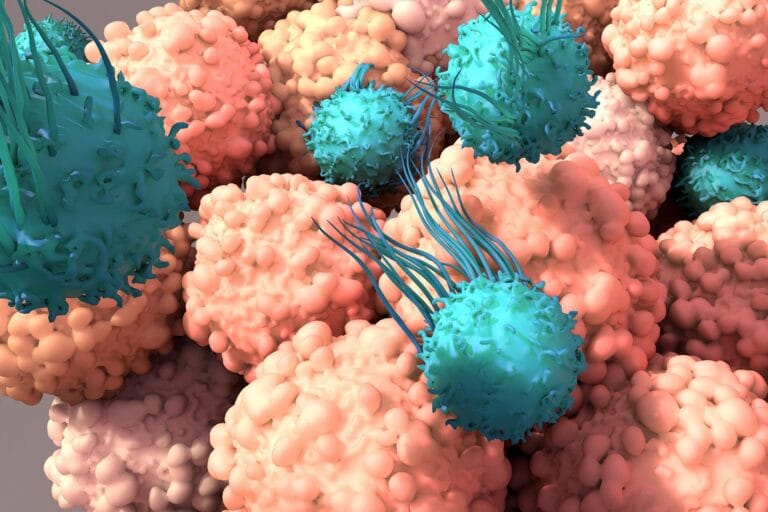 Estudo identifica MEK como alvo para melhorar T cells contra câncer