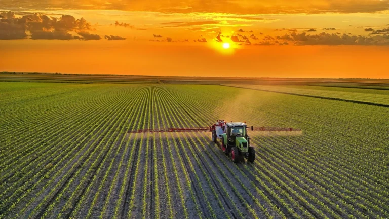 Mudança na dieta global pode reduzir emissões agrícolas em 85%
