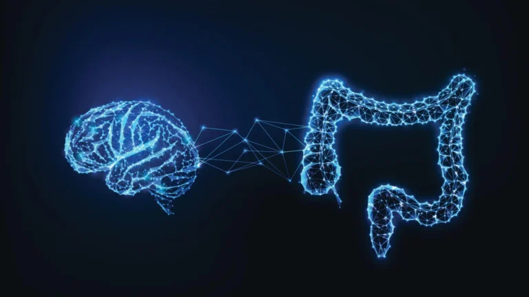 Estudo revela que intestino influencia memória alimentar