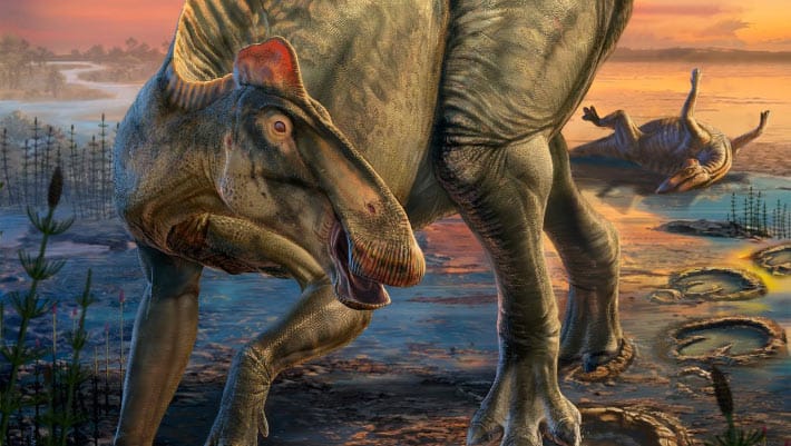 Tyrannosaurus rex se alimentou de dinossauros em Wyoming