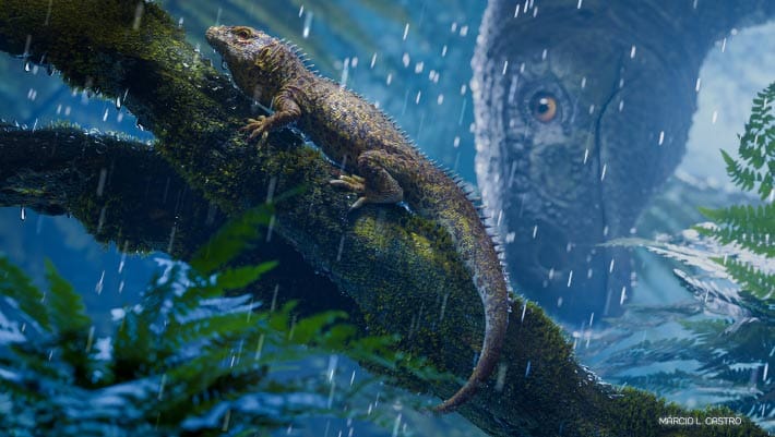 Fóssil de Cargninia enigmatica revela evolução de répteis