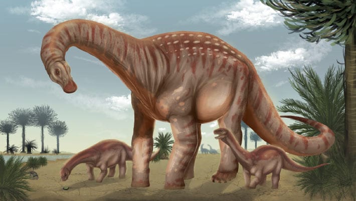 Paleontólogos identificam nova espécie de titanosauro no Uruguai