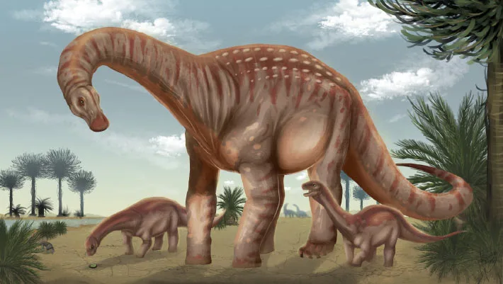 Paleontólogos identificam nova espécie de titanosauro no Uruguai