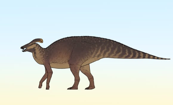 Nova espécie de dinossauro é identificada no Canadá