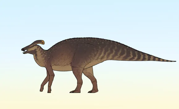 Nova espécie de dinossauro é identificada no Canadá