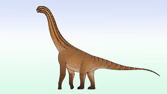 Ceratocaudia antiqua: novo dinossauro é descoberto na Índia