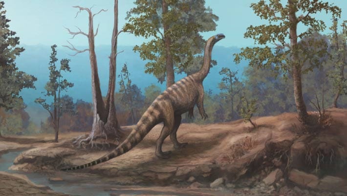 Paleontologistas identificam novo dinossauro no Zimbábue