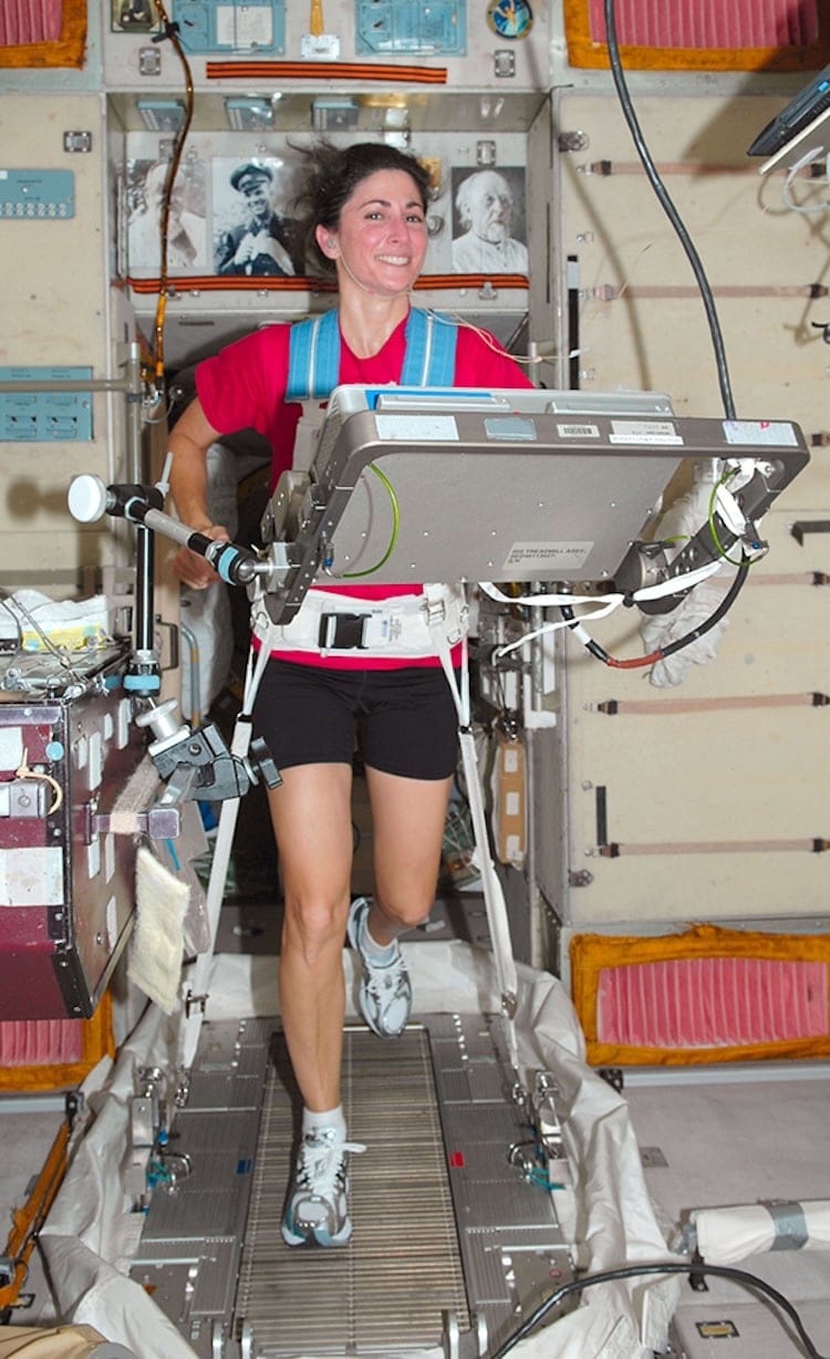 Pesquisa analisa impacto da microgravidade na musculatura humana