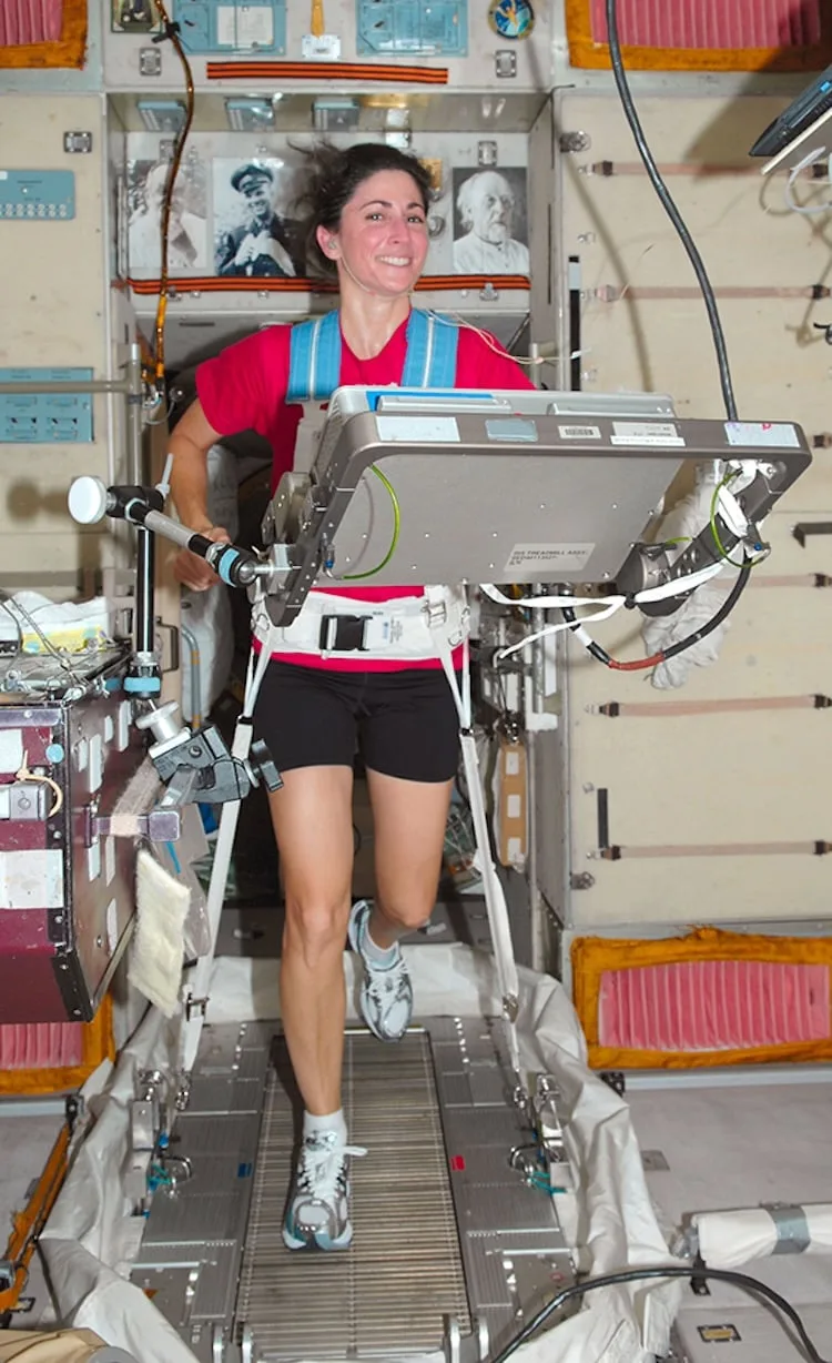 Pesquisa analisa impacto da microgravidade na musculatura humana