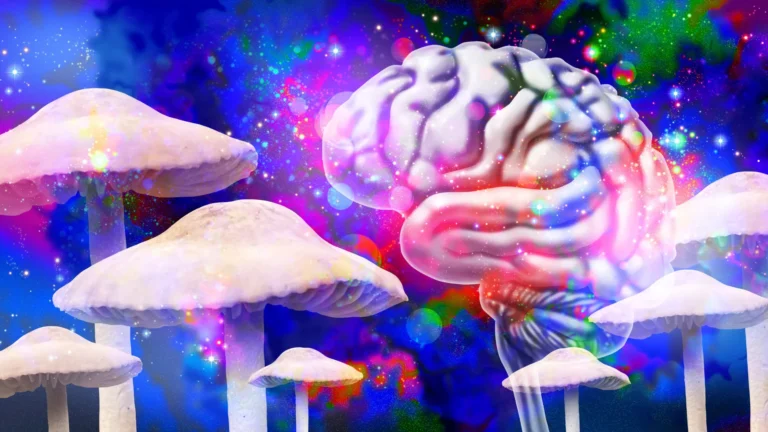 Psilocibina altera atividade cerebral por até um mês
