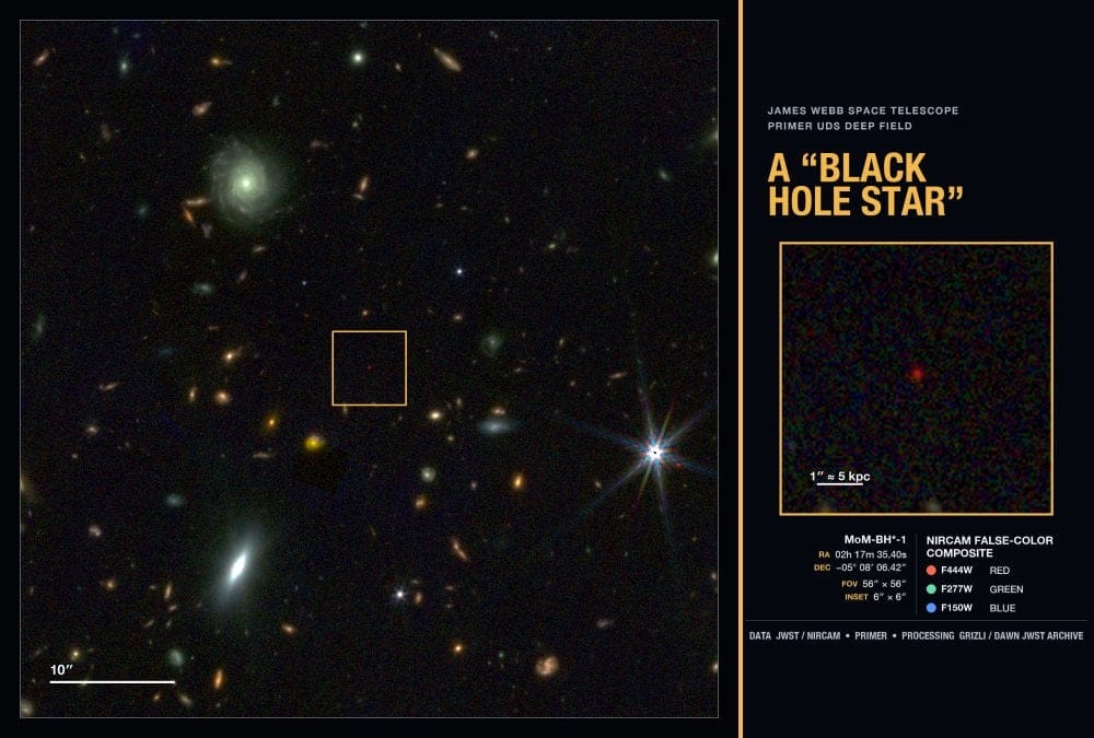 This image shows how the black hole star MoM-BH*-1 appears to the JWST. It looks like one of the telescope's Little Red Dots, but was singled out for deeper observations because of its extreme redness. Image Credit: NASA, ESA, CSA, STScI, DAWN JWST Archive, PRIMER Survey (PI: James Dunlop); Visualization: Rohan Naidu (University of Hawai’i)
