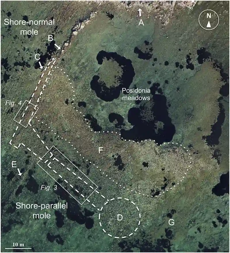 oldest Etruscan port linked to temple discovered